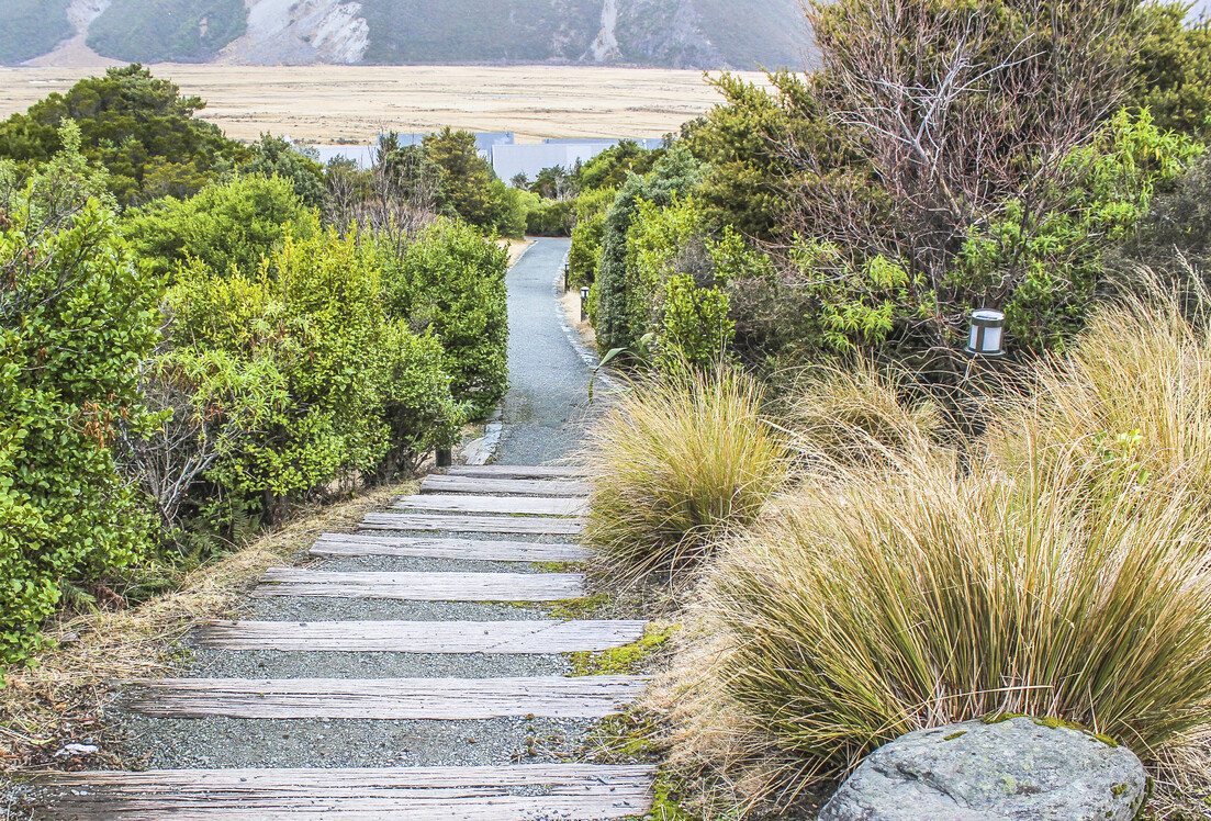 Village paths and native revegetation