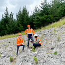 Planting design needs to remain nimble to react to final testing results following harvesting and stockpiling. Mix selections will need to be closely co-ordinated with the soil scientist and landscape architect, and be adapted to have a robust mix that will achieve the canopy coverage required, while still meeting the outcomes of the planting strategy.