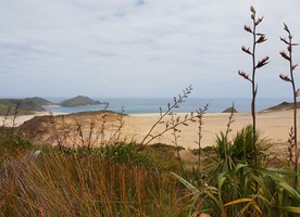 Image: uploads/2019_01/Coastal_Landscape.jpg