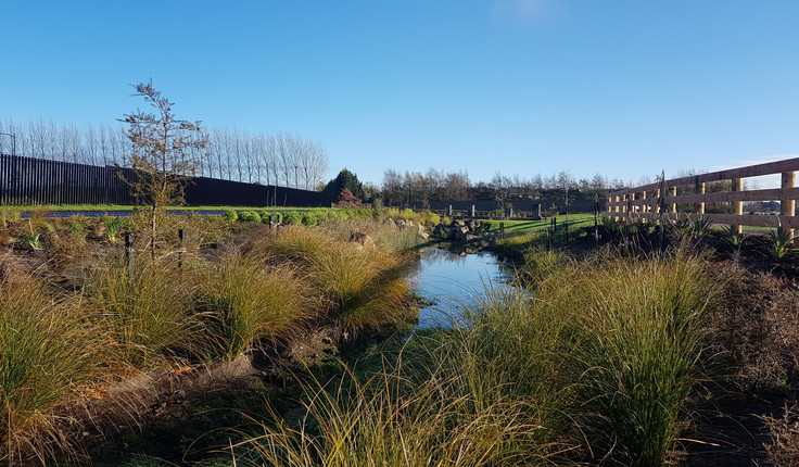 The stream width and bank gradients vary along the waterway, along with a healthy mix of planting texture, size and colour