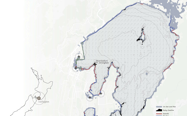 Mosaic of Intertidal Habitat along Wellingtons coast