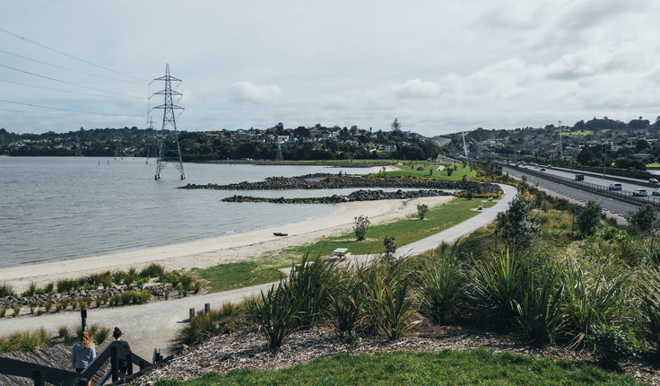 Taumanu Reserve - Image captured by David St George