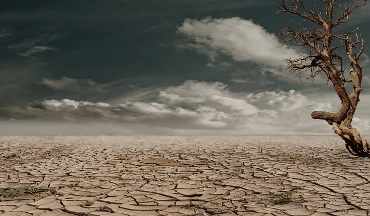 Drought intensity will likely increase over time in New Zealand because of climate change. Drier conditions in some areas are likely to be coupled with more frequent droughts.