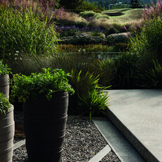 View from the herb garden across the pond, through the tall miscanthus, towards the Chris Booth sculture.