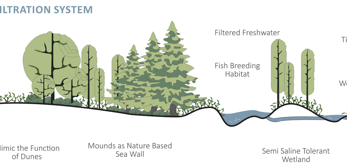 Section of proposed buffer system.