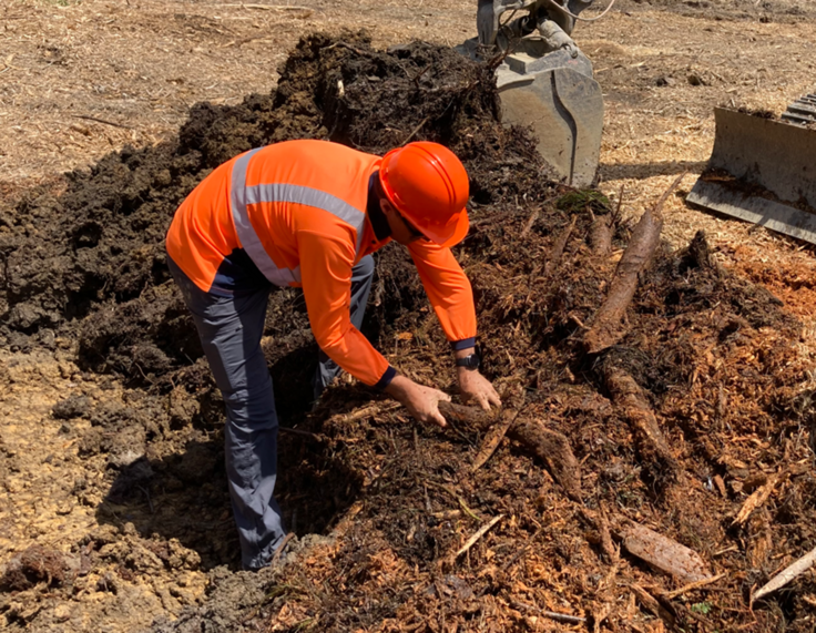 an active rehabilitation process was developed that will result in greater ecological resilience to drought and water stresses, and result in a more natural ecosystem type in the long term.