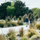 Over 25,000 native plants and 540 native trees and have been planted along the lakefront.