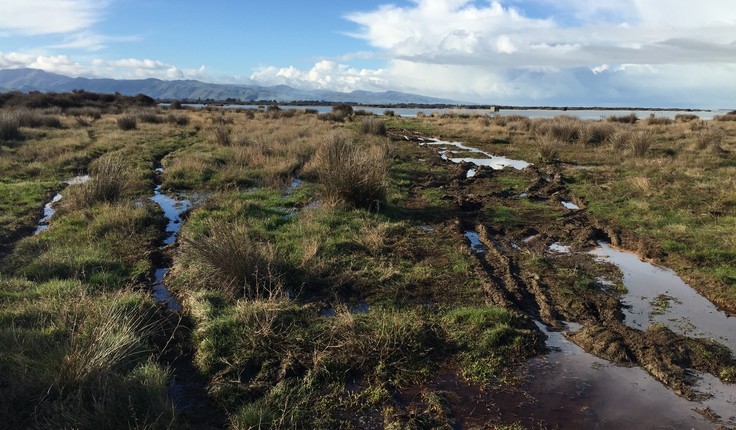 One of New Zealand’s most pressing environmental challenges lies in juggling productive landscapes with environmental sustainability.