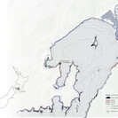 Mosaic of Intertidal Habitat along Wellingtons coast