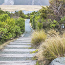 Village paths and native revegetation