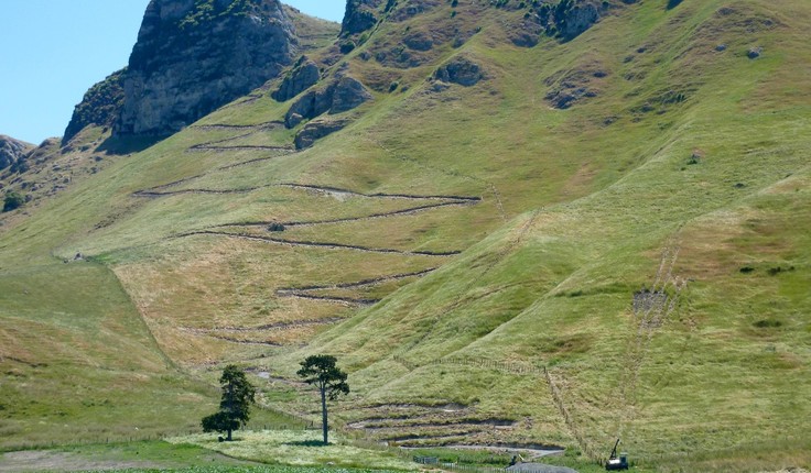 The walking track carved into Te Mata Peak.