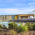 Native planting and the materiality of the poolside.