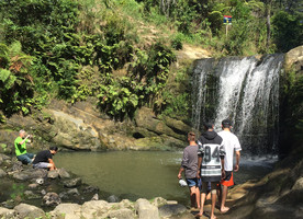 Unitec waterfall