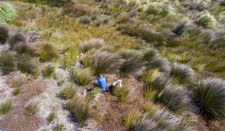 The Government recognises Kaipara Harbour’s global ecological and biological significance.