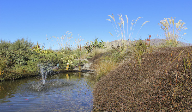 Natives were used at ground level.