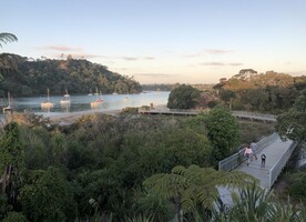 This boardwalk in Hobsonville Point is being well used during lockdown. Photo: Vicki Clague