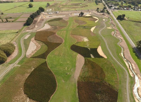 The Sparks Road wetland.