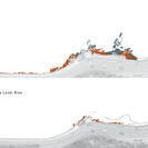 Shorebird Habitat reduction due to Sea Level Rise