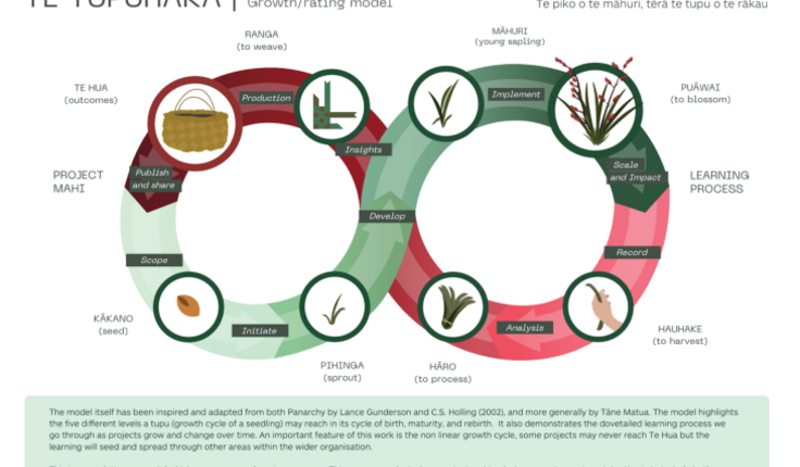 (Te Tupuraka – Growth/rating model) Te piko o te mahuri, tēra te tupu o te rākau