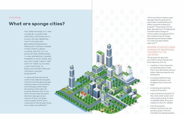 Image: uploads/2024_02/2_NZILA_WSP_Sponge_Cities_Explainer.jpg