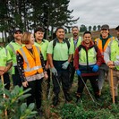 Waikeria Planting