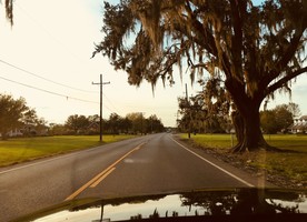 Image: uploads/2018_03/http---www.designenvironment.co.nz--slave-huts-sugar-cane-and-landscape_jFyNkPB.jpeg