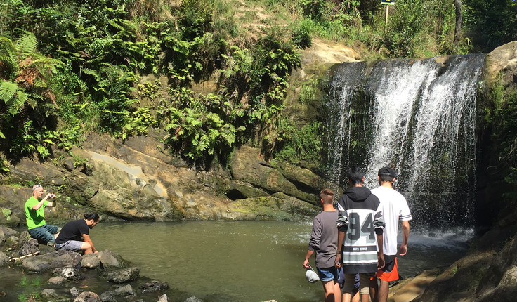 Unitec waterfall