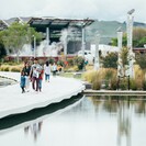 The boardwalk allows kōura passage and habitat along the lake edge—the cantilevered deck provides shade while the riprap hidden below the lake surface offers additional protection.