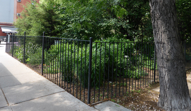 Do we feel differently about this design if we think it is an abandoned, weedy bit of the city; Or if it is an intentional piece of environmental art? Alan Sonfist’s Time Landscape, Manhattan, New York