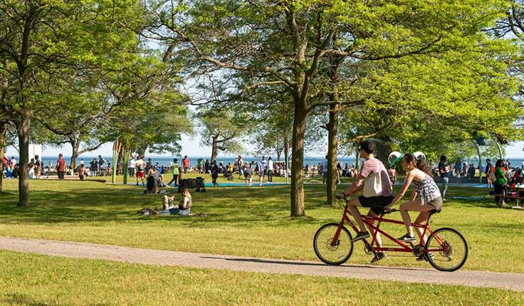 Parks in Action highlights the role of parks and open spaces in fostering climate action in Toronto’s inner suburbs. Free workshops will explore themes of urban heat, flooding and green infrastructure.