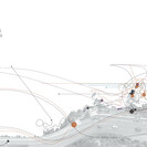 Shorebird Behaviour Mapping