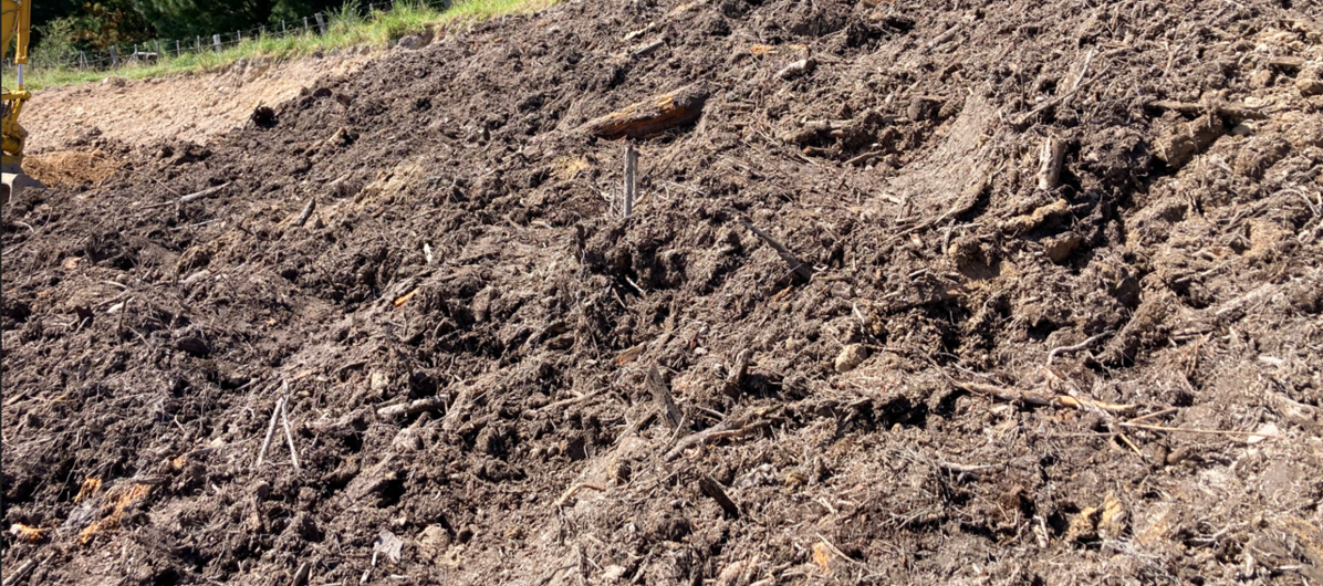 Forest floor or duff, is a vital part of forest ecosystems