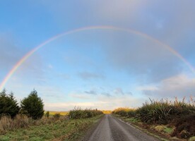 New Beginnings - a Rainbow over Southland Credit : Lori Keller-Coughtrey