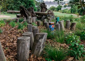 Nature provides the fun challenges in this playground