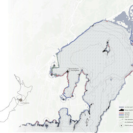 Mosaic of Intertidal Habitat along Wellingtons coast