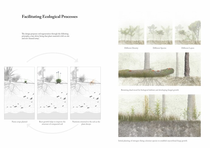 Facilitating Ecological Processes