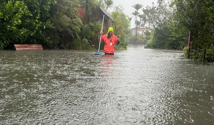 Above image was taken at Auckland Zoo in Western Springs during the Friday evening downpour.