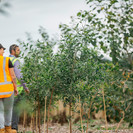 Waikeria Nursery