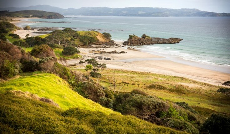 Tāwharanui Regional Park - Aoteaora's first integrated open sanctuary. Photo Credit: Auckland City Council.