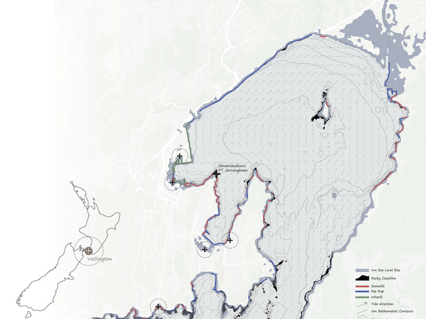 Mosaic of Intertidal Habitat along Wellingtons coast