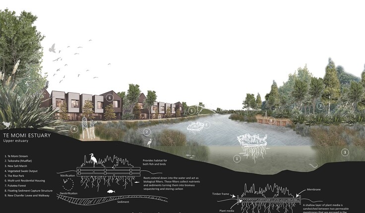 Te Momi Estuary Carbon Sequestration Habitat Creation by Connor Mckeown: this multidimensional carbon sequestration proposal intensifies housing density amidst lively forest and wetland and recreational ecologies offering spatial justice to many species, including the human.