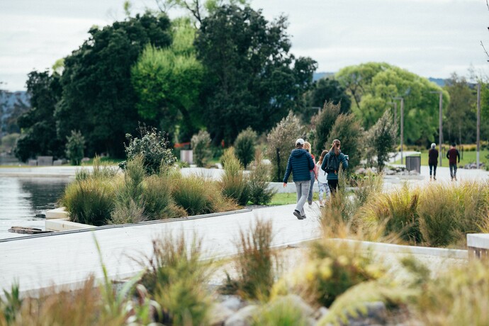 Over 25,000 native plants and 540 native trees and have been planted along the lakefront.