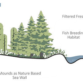 Section of proposed buffer system.