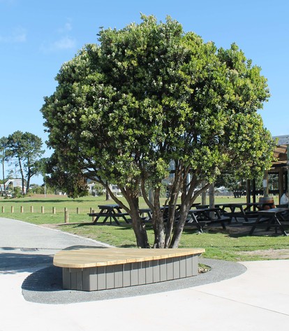 Seating and planting around an existing pohutukawa enhanced with a contrast concrete band