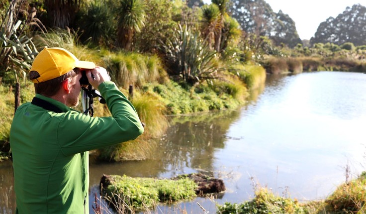 Bird monitoring is carried out regularly.