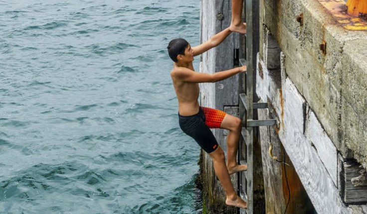 Towns and Cities as Indigenous Places, Wellington’s waterfront. Credit Natalia Ramirez Roman/Shutterstock