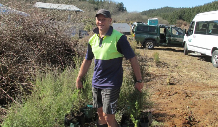 Phil Wihongi, Auckland Council’s Māori Design Leader, out in the field.