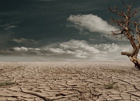 Drought intensity will likely increase over time in New Zealand because of climate change. Drier conditions in some areas are likely to be coupled with more frequent droughts.