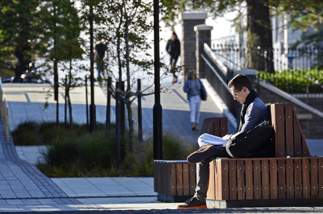 Seating – large timber benches with backs were designed to allow for informal study or large groups of friends to gather at.