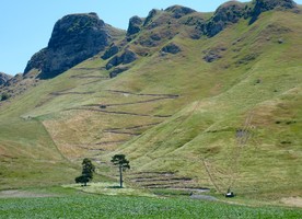 The walking track carved into Te Mata Peak.